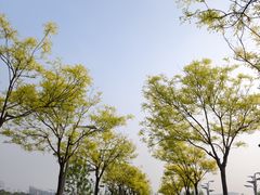 -新奥购物中心