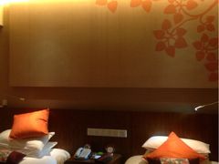 -九华山聚龙大酒店