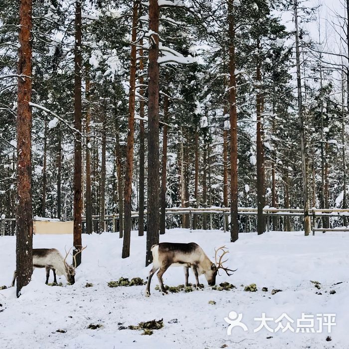 拉努阿野生动物园