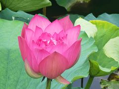 -西南交通大学(九里校区)