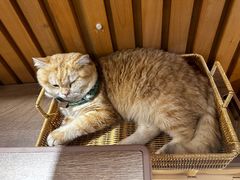 -天井·丑面包搭咖啡