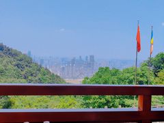 -南山植物园