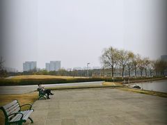 -白塘生态植物园