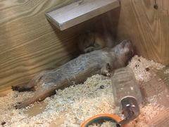 -SFC上影影城(成都科华IMAX店)