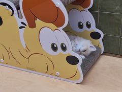 -帕帕拉兹宠物(亚洲旗舰店)