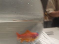 -NOKNOK若蔻亲子餐厅(天地壹方北馆店)