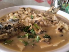 -煲来饱去冷水鱼