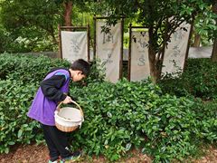 -天目湖山水园