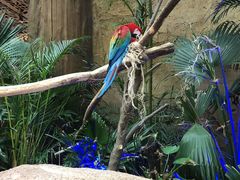 -杭州开元森泊度假乐园