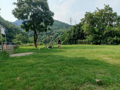 -趣多多宠物公园·宠物训犬学校·宠物寄养