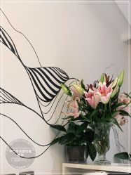 -平行宇宙普拉提健身