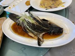 -喀纳斯鸿福生态度假酒店