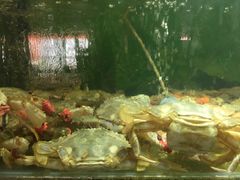 -蓝珊甄选海鲜自助·火锅大排档(近阿那亚店)