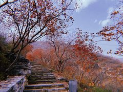 -周口店坡峰岭风景区