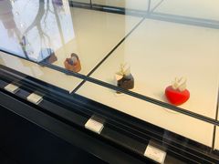 -BLACKSWAN黑天鹅(环球店)