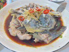 -煲来饱去冷水鱼