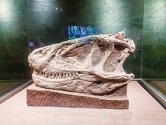 -自贡恐龙博物馆