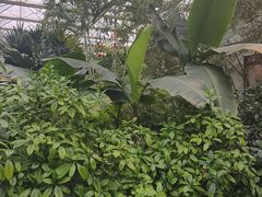 -忆江南·生态餐饮宴会酒店