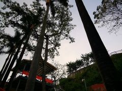 -佛山顺德香云纱园林酒店(清晖园店)