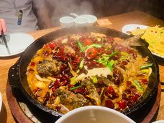 -老板恋上鱼(高新万达店)