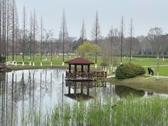 -宜兴龙背山森林公园