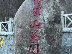 -仰口沙滩