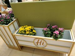 -海底捞火锅(顺城购物中心店)