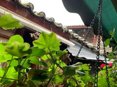 -小厨子私房菜·云南美食店