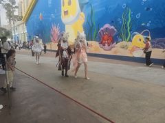 -海合安成都极地海洋公园