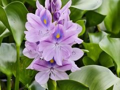 -白鹭湾湿地公园