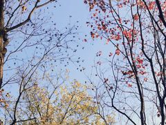 -汉江湾体育公园