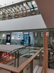 -星光贝贝(万达店)