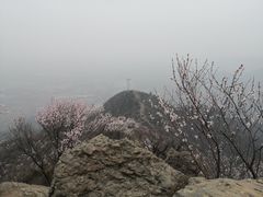 -北京鹫峰国家森林公园