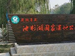 -池杉湖湿地公园