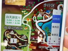-清迈夜间动物园