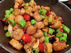 -老板恋上鱼(高新万达店)
