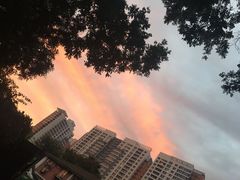 -春记潮汕牛肉火锅