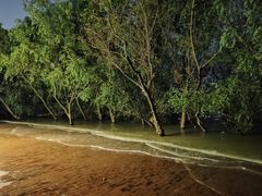 -宝安西湾红树林湿地公园