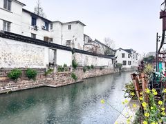 -吴越荣记·苏州菜·松鼠桂鱼(娄门景区店)