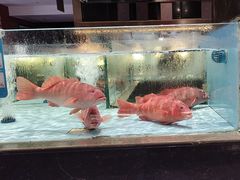 -阿伟海鲜楼·福建菜(延寿店)