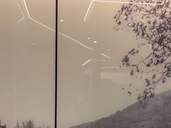 -小菜园新徽菜(南京秦淮龙蟠汇店)