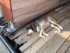 iphone_upload_pic-姓氏桥