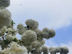 -大龙山(地铁站)