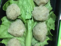 -蚝专家