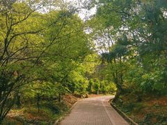 -虞山风景区