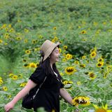 重庆夏天去哪里? || 北碚区向日葵免费拍照