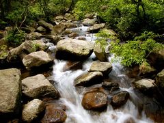 -姑婆山旅游区