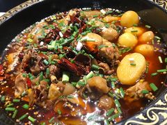 -一只烧鸡公(解放碑店)