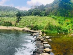 -广州市石门国家森林公园