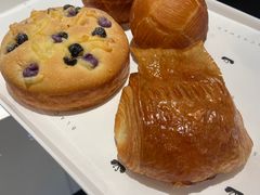-BLACKSWAN黑天鹅(环球店)